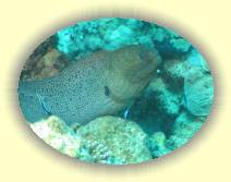 IMG_2007_05_25 18_46_47 * 2272 x 1704 * (642KB)